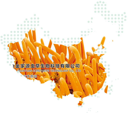 河南金家源蟲(chóng)草生物科技有限公司